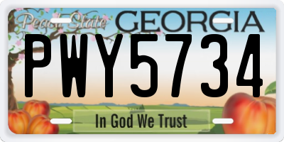 GA license plate PWY5734