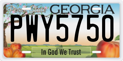 GA license plate PWY5750