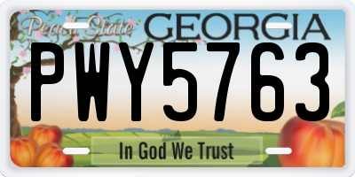 GA license plate PWY5763