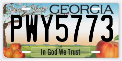 GA license plate PWY5773