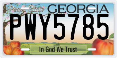 GA license plate PWY5785