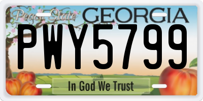 GA license plate PWY5799