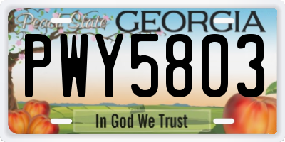 GA license plate PWY5803