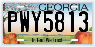 GA license plate PWY5813