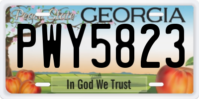 GA license plate PWY5823