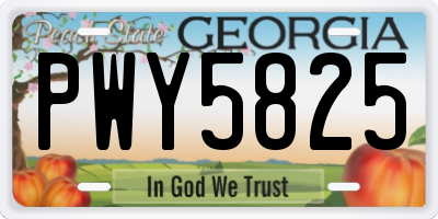 GA license plate PWY5825