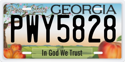 GA license plate PWY5828