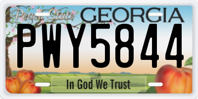 GA license plate PWY5844
