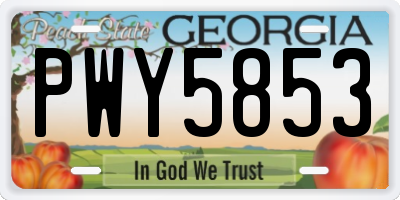 GA license plate PWY5853