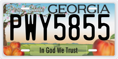 GA license plate PWY5855