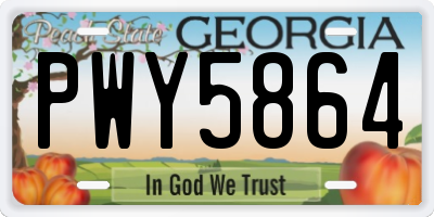 GA license plate PWY5864
