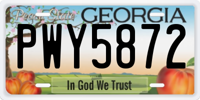 GA license plate PWY5872