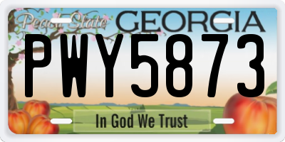 GA license plate PWY5873
