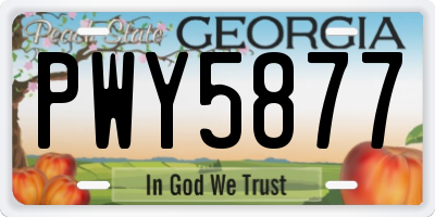 GA license plate PWY5877