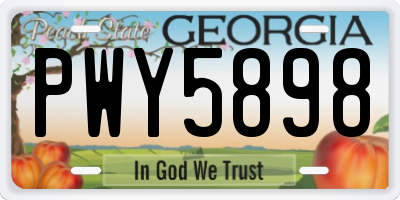 GA license plate PWY5898