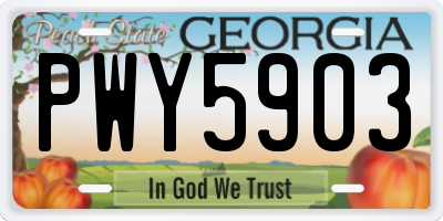 GA license plate PWY5903
