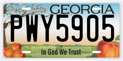 GA license plate PWY5905