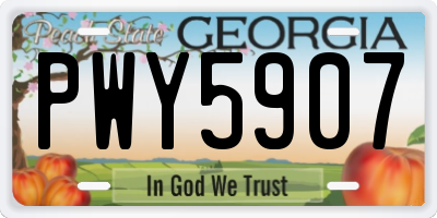 GA license plate PWY5907
