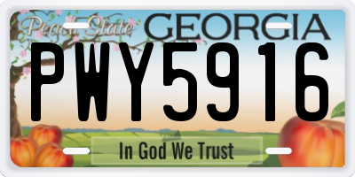 GA license plate PWY5916