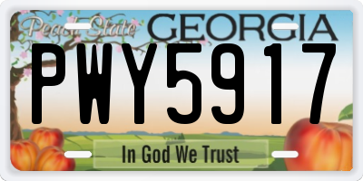 GA license plate PWY5917