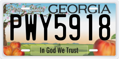 GA license plate PWY5918