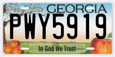 GA license plate PWY5919