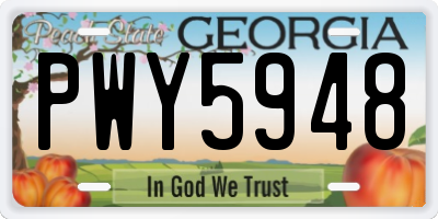 GA license plate PWY5948