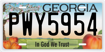 GA license plate PWY5954