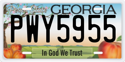 GA license plate PWY5955