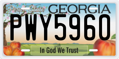 GA license plate PWY5960