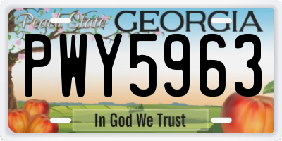 GA license plate PWY5963