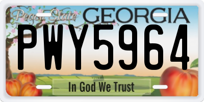 GA license plate PWY5964