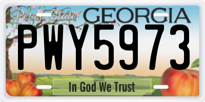 GA license plate PWY5973