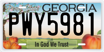 GA license plate PWY5981