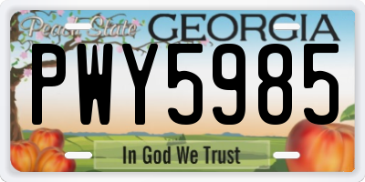 GA license plate PWY5985