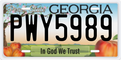 GA license plate PWY5989