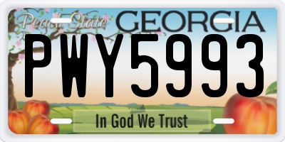 GA license plate PWY5993
