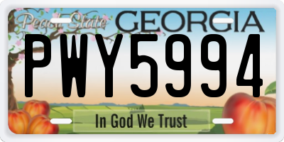 GA license plate PWY5994