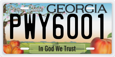 GA license plate PWY6001