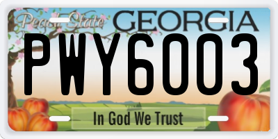 GA license plate PWY6003