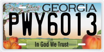 GA license plate PWY6013
