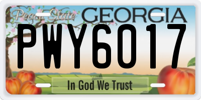 GA license plate PWY6017