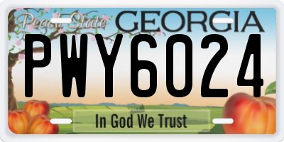GA license plate PWY6024