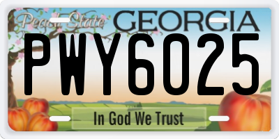GA license plate PWY6025