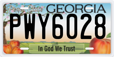 GA license plate PWY6028