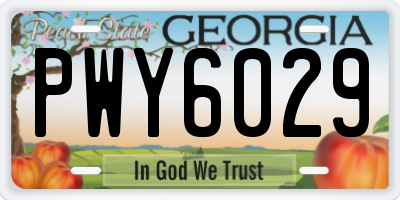 GA license plate PWY6029