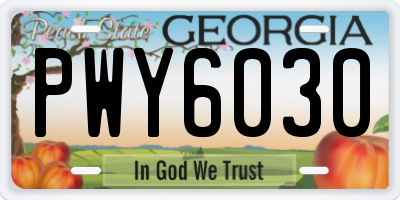 GA license plate PWY6030