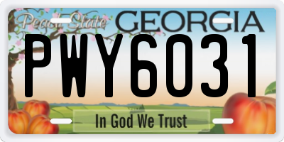 GA license plate PWY6031
