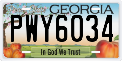 GA license plate PWY6034