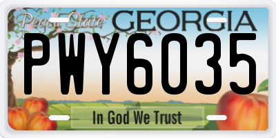 GA license plate PWY6035